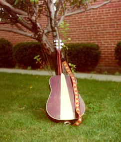 a beautiful guitar